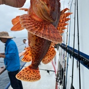 Photo submitted by Michelle