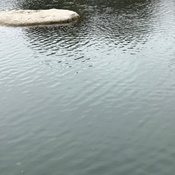 Photo submitted by ROSALINDA