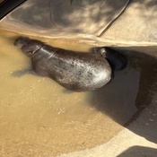 Photo submitted by audrina