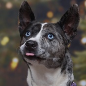 Photo submitted by Hannah