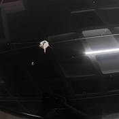 Photo submitted by Ariana