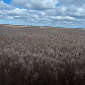 Photo submitted by Christopher