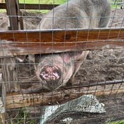 Photo submitted by Tiosha