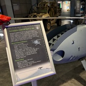 Photo submitted by mary