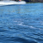 Photo submitted by Heather