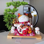 Photo submitted by Kim