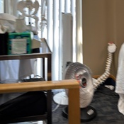 Photo submitted by Ega