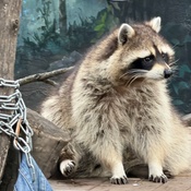 Photo submitted by Heather