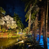 Photo submitted by KATIE