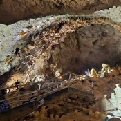 Photo submitted by Isabel