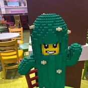 Photo submitted by Makenna