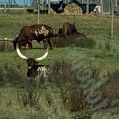 Photo submitted by jessica