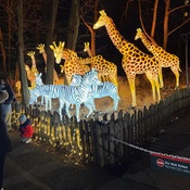 Photo submitted by melvina