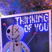 Photo submitted by Sidney