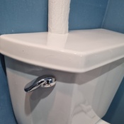 Photo submitted by Dawn