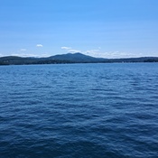 Photo submitted by Guest