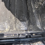 Photo submitted by Guest