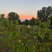 Photo submitted by Groupon