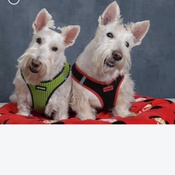 Photo submitted by Jennifer