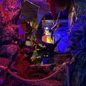 Photo submitted by Vincent