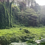 Photo submitted by Kathleen