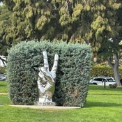 Photo submitted by Mary