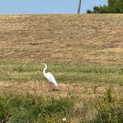 Photo submitted by Mary