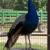 Photo submitted by Kit