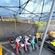 Photo submitted by Cassandra