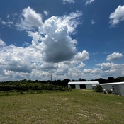 Photo submitted by Elena