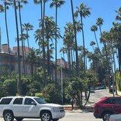 Photo submitted by Juan