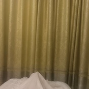 Photo submitted by Veronica