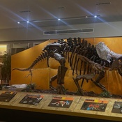 Photo submitted by Jeannie