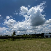 Photo submitted by Elena