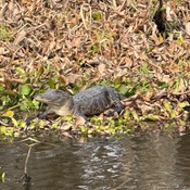 Photo submitted by Evelyn