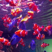 Photo submitted by Amanda