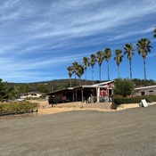 Photo submitted by Noemi