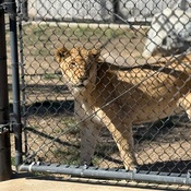 Photo submitted by Janet