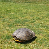 Photo submitted by Deena