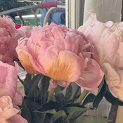 Photo submitted by Victoria