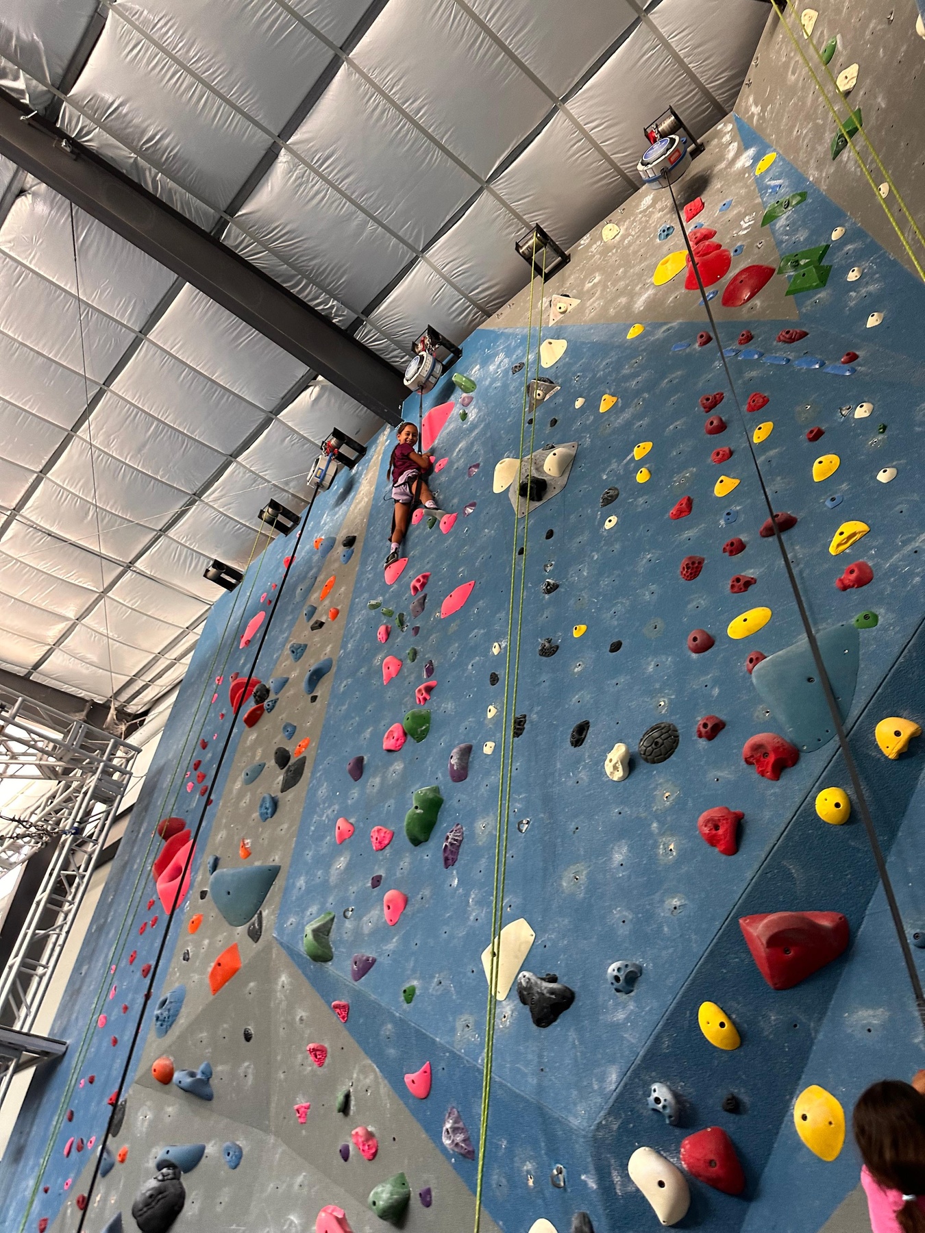 Climb Woodlands - From $41.85 - Magnolia | Groupon