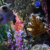 Photo submitted by dhani