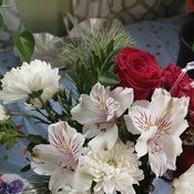 Photo submitted by LaTaunya