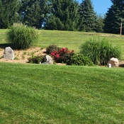 Photo submitted by Paula