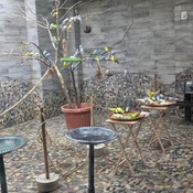 Photo submitted by Kevin