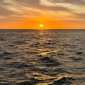 Photo submitted by Megan