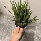 Photo submitted by Guest