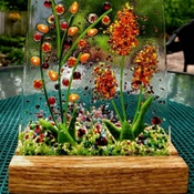 Photo submitted by Tina