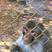 Photo submitted by Amanda