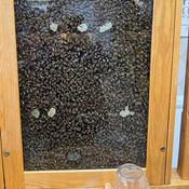 Photo submitted by Bridgitte